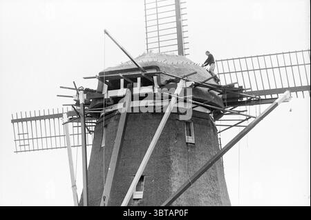 Neue Schilfmühle auf dem Dach Noordwijkerhout Mills Noordwijkerhout, Whizgle News, Dutch Desk, Niederlande, 1950 - 2000 am 01-05-1984. Die Abbildung zeigt diese Themen. Die Szene zeigt eine große Windmühle, die überwiegend aus robusten Materialien wie Holz und Stein besteht. Seine Struktur ist imposant, mit einer abgerundeten Oberseite, die zu einer konischen Form führt, die sich zu einer breiteren Basis verjüngt. Die Windmühle ist mit einem Netz aus Holzbalken und Stützen geschmückt, die sich nach außen erstrecken und ihre Betriebsmechanik demonstrieren. Oben auf der Windmühle kann eine Person beobachtet werden, die vorsichtig arbeitet und möglicherweise repariert oder gewartet wird Stockfoto