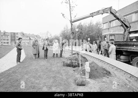 Einen Baum bei den Wijkertoren von HR Pflanzen. Sanders Mitglied der Provinzleitung Beverwijk Kerkstraat Niederlande, Whizgle News, Dutch Desk, Niederlande, 1950 - 2000 am 26. 10. 1983. Dies sind die Themen im Bild. Die Szene zeigt eine Gruppe von Personen, die sich im Freien versammelt haben und scheinbar an einer organisierten Veranstaltung beteiligt sind. Im Vordergrund wird mit Hilfe eines mechanischen Arms, der von einem in der Nähe geparkten Lkw ragt, ein großer Baum vorsichtig im Boden positioniert. Die Menschen gruppieren sich um den Baum; einige tragen formelle Kleidung, darunter einen Anzug und mehrere Mäntel Stockfoto