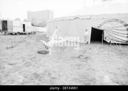Circus Renz Schalkwijk Schalkwijk, Whizgle News, Dutch Desk, Niederlande, 1950 - 2000 am 08-05-1990. Diese Themen sind in der Abbildung dargestellt. Die Szene fängt eine Zirkusumgebung im Freien ein, dominiert von einem großen, runden Zelt mit einem unverwechselbaren Stoff außen, das sich durch gedämpfte Grau- und Beigetönen auszeichnet. Das Zelt steht gut sichtbar, umgeben von einer grasbewachsenen Fläche, die leicht bewachsen erscheint, was darauf hindeutet, dass sich die Kulisse in einem Übergangszeitpunkt befindet, vielleicht kurz vor einer Vorstellung oder nachdem sie beendet ist. Im Vordergrund zeigt eine Person einen beeindruckenden Handstand, der Agilität und zeigt Stockfoto
