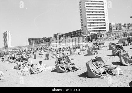 Geschäftiger Strand Zandvoort Strand und Strände Zandvoort, Whizgle News, Dutch Desk, Niederlande, 1950 - 2000 am 28-08-1985. Das Bild enthält diese Themen. Die Szene fängt eine lebhafte Strandatmosphäre an einem sonnigen Tag ein. Die Sandfläche ist mit zahlreichen Strandhütten gesäumt, jede mit hellrot-weiß gestreiften Stoffen, die einen fröhlichen Kontrast zum hellbeigen Sand bilden. Einige Cabanas sind von Sonnenanbetern besetzt, die entspannt liegen, während andere leer erscheinen und auf Besucher warten. Eine vielfältige Menschenmenge kann am Strand beobachtet werden; Menschen unterschiedlichen Alters sind auf Handtüchern oder eingebettet Stockfoto