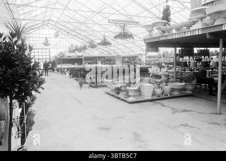 Inneneinrichtung Het Oosten Interior, Whizgle News, Dutch Desk, Niederlande, 1950 - 2000 am 26-03-1970. Die Abbildung zeigt diese Themen. Die Szene zeigt ein geräumiges Gewächshaus mit einer Vielzahl von Pflanzen und Gartengegenständen. Die Struktur verfügt über eine hohe, transparente Decke, die aus Glaspaneelen besteht, die natürliches Licht einströmen lassen und eine helle, aber etwas diffuse Beleuchtung im gesamten Raum erzeugen. Links befinden sich mehrere lange Tische, die eine Reihe von Topfpflanzen zeigen, die in Größe und Art variieren. Einige Töpfe sind mit leuchtend grünem Laub verziert, während OT Stockfoto