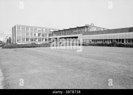 Outdoor Training Center Hoogovens Exterior Hoogovens, Whizgle News, Dutch Desk, Niederlande, 1950 - 2000 am 22-07-1980. Das Bild enthält diese Themen. Die Szene zeigt eine modernistische architektonische Struktur, die von schlanken Linien und großen Glasflächen geprägt ist. Die Fassade des Gebäudes weist überwiegend klare Glasscheiben auf, die das Licht reflektieren, durchsetzt mit Abschnitten aus strukturiertem Beton. Diese Materialien erzeugen einen auffälligen Kontrast und betonen das moderne Design. Im Vordergrund befindet sich ein gut gepflegter Rasen, gefüllt mit üppig grünem Gras, der sich unter dem Gebäude erstreckt Stockfoto