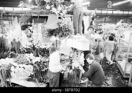 Einrichtung des Floats Rijsenhout Aalsmeer Flower Parade Blumenausstellung Aalsmeer, Whizgle News, Dutch Desk, Niederlande, 1950 - 2000 am 03-09-1987. Das Bild enthält diese Themen. In einer belebten Blumenwerkstatt werden vor dem Hintergrund eines weitläufigen Lagerhauses eine bunte Blumenpalette angeordnet. Die Szene ist lebendig, da zahlreiche Individuen, Männer und Frauen, sich der akribischen Aufgabe widmen, eine große Struktur mit Blüten zu dekorieren. Es gibt zahlreiche Farben, darunter satte Grüntöne aus Laub, weiche weiß- und Gelbtöne aus verschiedenen Blüten und Farbtupfer in tieferen Tönen Stockfoto
