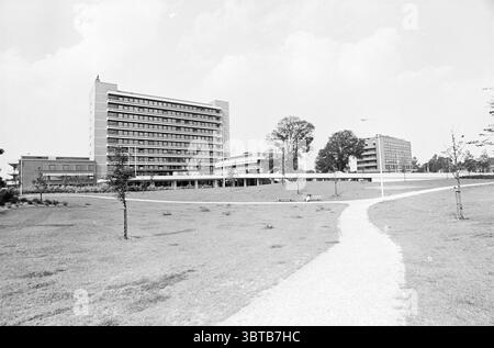 Äußere des Zeeweg Krankenhauses Krankenhäuser IJmuiden Zeeweg Niederlande, Whizgle News, Dutch Desk, Niederlande, 1950 - 2000 am 22-08-1974. Die Abbildung zeigt diese Themen. Die Szene zeigt ein modernes urbanes Ambiente, das von markanten architektonischen Strukturen und üppigem Grün geprägt ist. Im Vordergrund führt ein gewundener Schotterweg durch eine Weite von gepflegtem Gras und lädt zum Erkunden ein. Im Grasgebiet verstreut sind kleine, junge Bäume, die das natürliche Ambiente ergänzen und einen Kontrast zu den künstlichen Elementen bilden. Links steht ein großes Gebäude, fe Stockfoto
