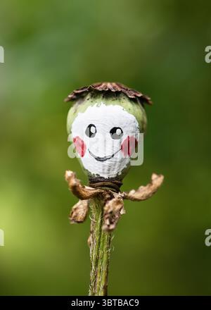 Handgefertigter süßer, lächelnder Mohnkopf mit gemaltem Gesicht. Kinderbildungskonzept. Einfaches Naturbasteln und Aktivitäten für Kinder. Kopierbereich Stockfoto