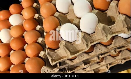 Bild von braunen und weißen Eiern, ordentlich in Kartonschachteln in einem Marktumfeld angeordnet. Die Eier sind sichtbar frisch und für den Verbraucher verpackt Stockfoto