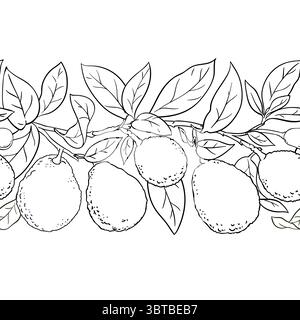 Avocado Outline Horizontales Nahtloses Muster. Stock Vektor