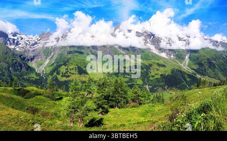 Idyllische Landschaft in den österreichischen Alpen mit frischen grünen Wiesen und blühenden Blumen und schneebedeckten Berggipfeln im Hintergrund, hohe Tauren - Gros Stockfoto