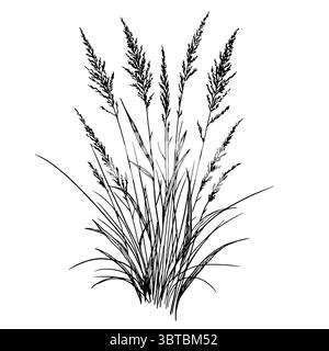 Trockene Äste, Sumpfgras und Büsche, schwarz-weiße Skizze. Vektorabbildung. Schilf und Waldgräser isoliert auf weißem Hintergrund. Das Thema Stock Vektor