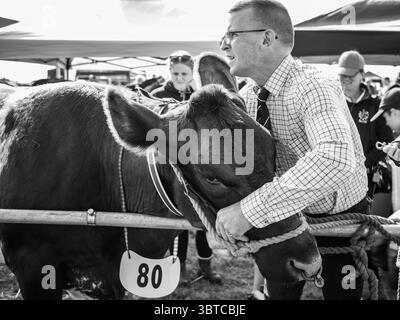 Stithians Show Cornwall Juli 2025 Stockfoto