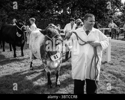 Stithians Show Cornwall Juli 2025 Stockfoto