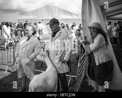Stithians Show Cornwall Juli 2025 Stockfoto