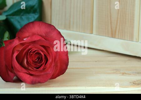 Eine einzelne rote Rose auf einem rustikalen Holzboden. Stockfoto