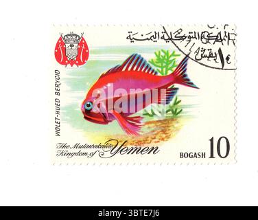 Eine alte Briefmarke aus dem Jemen, isoliert auf weißem Hintergrund. Stockfoto