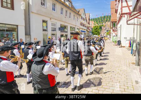 Musikband in traditionellen Trachten marschiert durch ein sonniges Dorf während einer Parade, 950 Jahre Calw, Parade Calw, Schwarzwald, Deutschland Stockfoto