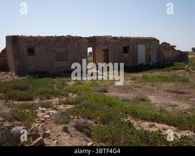 Alte Ruinen stehen in einer Wüstenlandschaft Stockfoto