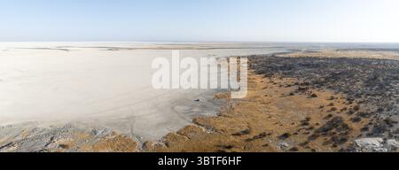 Felsige Insel mit Baobab-Bäumen in einer trockenen Salzpfanne, Geländefahrzeug auf der Salzpfanne, aus der Vogelperspektive, Kubu Island, Botswana Stockfoto