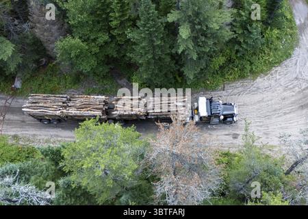 Schwertransporter für Holztransporte, Region La Mauricie, Provinz Quebec, Kanada, Nordamerika Stockfoto