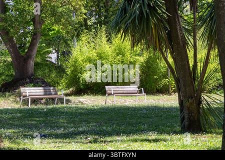 Zwei leere Bänke stehen auf einem grasbewachsenen Rasen in einer ruhigen Parklandschaft, umgeben von üppigen Bäumen und Bambus, und bieten einen Ort zur ruhigen Besinnung Stockfoto