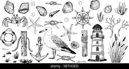 Eine Reihe von Schwarzweiß-Vektorabbildungen. Eine Vielzahl von handgezeichneten Meereselementen, darunter Muscheln, Seesterne, eine Möwe, Leuchtturm, Anker Stock Vektor