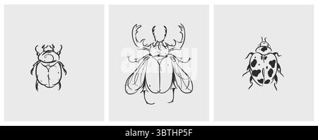 Hand gezeichnete abstrakte Vektor-Grafik-Illustration Sammlung Set mit niedlichen, stilisierten Insektenwanzen Skizze.trendy moderne wilde Natur Design Konzept Skizze Stock Vektor