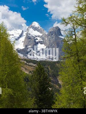 Die beeindruckenden schneebedeckten Gipfel der Marmolada, eingerahmt von lebhaften grünen Kiefern, dominieren die Landschaft unter einem hellblauen Himmel mit verstreuten Wolken Stockfoto