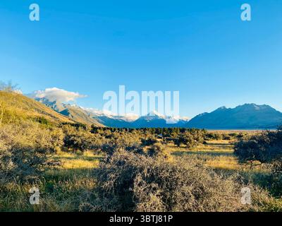 Sonnige Tallandschaft in der Nähe von Aoraki/Mount Cook, Südinsel, Neuseeland, mit trockenen Gräsern und schneebedeckten Bergen unter einem klaren blauen Himmel Stockfoto