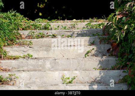 Gartentreppe im Spätherbst mit Blick auf den Garten Stockfoto