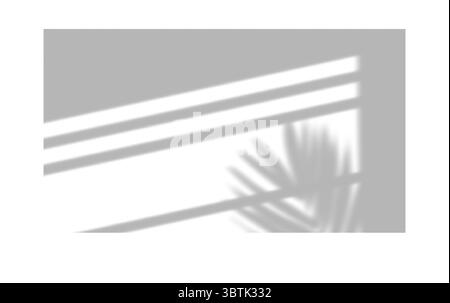 Schatten von Fenstern, Öffnungen und tropischen Pflanzen. Hochwertige Schatten. Vektorabbildung Ai- und EPS-Datei. Stock Vektor