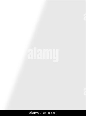 Schatten von Fenstern, Öffnungen und tropischen Pflanzen. Hochwertige Schatten. Vektorabbildung Ai- und EPS-Datei. Stock Vektor