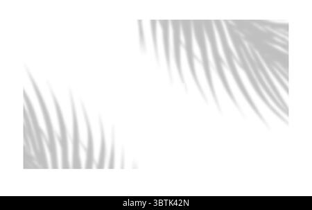 Realistischer Palmblattschattenüberlagerungseffekt isoliert auf weißem Hintergrund, natürlicher Schatten des tropischen Palmenzweigs. Mockup von transparentem Schatten für Produ Stock Vektor