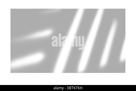 Schatten von Fenstern, Öffnungen und tropischen Pflanzen. Hochwertige Schatten. Vektorabbildung Ai- und EPS-Datei. Stock Vektor