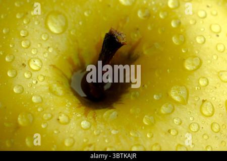 Gelber reifer Apfel mit Tautropfen auf der Schale, Nahaufnahme, abstraktes Kunstbild, Makro Stockfoto