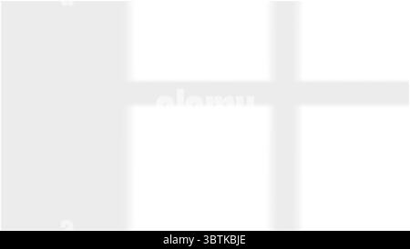 Schatten von Fenstern, Öffnungen und tropischen Pflanzen. Hochwertige Schatten. Vektorabbildung Ai- und EPS-Datei. Stock Vektor