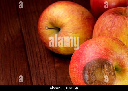 Verdorbene, schrumpelte, verrottete Äpfel auf dunklem hölzernem Hintergrund in Nahaufnahme Stockfoto