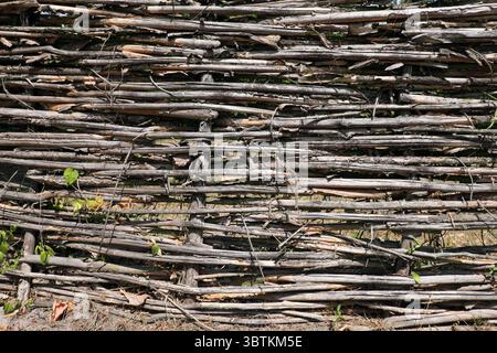 Hölzerner Hintergrund der Korbreben Nahaufnahme Stockfoto