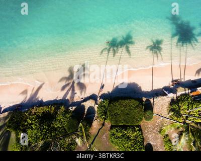 1. Januar 2014, Kailua, Hawaii, Vereinigte Staaten: Luftansicht von Schatten von Kokospalmen auf Lanikai Beach, Oahu, Hawaii (Bild: © Mark A Johnson/Amazing Aerial Via ZUMA Wire) Stockfoto