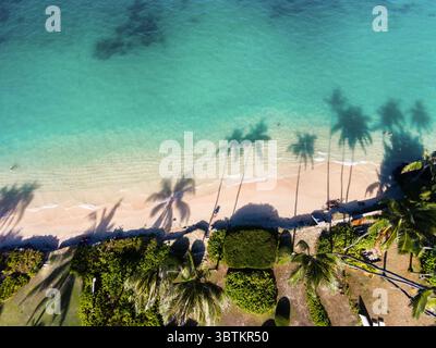 1. Januar 2014, Kailua, Hawaii, Vereinigte Staaten: Luftansicht von Schatten von Kokospalmen auf Lanikai Beach, Oahu, Hawaii (Bild: © Mark A Johnson/Amazing Aerial Via ZUMA Wire) Stockfoto