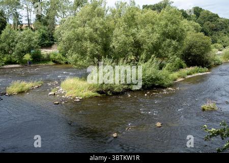 River Wye am 8. Juli 2025 in Hay-on-Wye, Wales, Vereinigtes Königreich. Der Wye ist für die Natur, den Naturschutz und die Erholung der Menschen vor Ort von entscheidender Bedeutung, wurde aber in den letzten Jahren von der Verschmutzung durch landwirtschaftliche Abflüsse betroffen, die Algenblüten verursacht hat, die einen Großteil des Lebens im Fluss vernichten können. Stockfoto