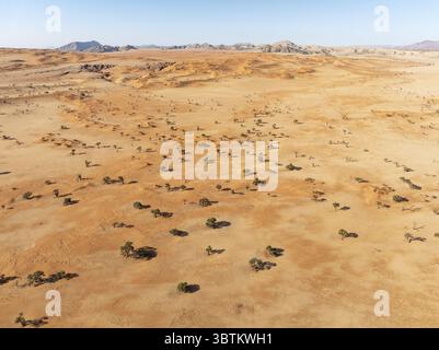 Aus der Vogelperspektive auf eine weite, trockene Landschaft mit karger Vegetation unter klarem Himmel, Tsondab Valley, Khomas, Namibia. Stockfoto