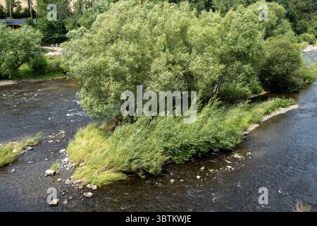 River Wye am 8. Juli 2025 in Hay-on-Wye, Wales, Vereinigtes Königreich. Der Wye ist für die Natur, den Naturschutz und die Erholung der Menschen vor Ort von entscheidender Bedeutung, wurde aber in den letzten Jahren von der Verschmutzung durch landwirtschaftliche Abflüsse betroffen, die Algenblüten verursacht hat, die einen Großteil des Lebens im Fluss vernichten können. Stockfoto