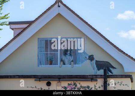 Wandbild von Border Collies an einem Haus in Swanage Dorset England von Nina Camplin Stockfoto