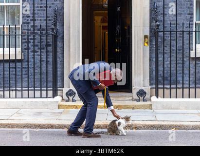 London, Großbritannien. Juli 2025. David Lammy, Außenminister, streichelt Larry die Katze vor Nummer 10. Quelle: Mark Thomas/Alamy Live News Stockfoto