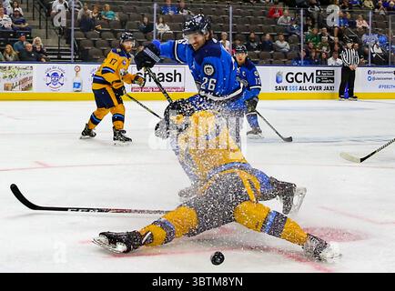 Jacksonville Icemen Stürmer Garrett Ross (26) übergibt den Puck, als Atlanta Gladiators Verteidiger Alexey Solovyev (22) während der ersten Phase eines ECHL-Profi-Hockeyspiels in der Veterans Memorial Arena in Jacksonville, Florida, am Mittwoch, 30. Oktober 2019 auf dem Eis untergeht. (Gary Lloyd McCullough/CSM)(Credit Image: &Copy; Gary Lloyd McCullough/CSM via ZUMA Wire) Stockfoto