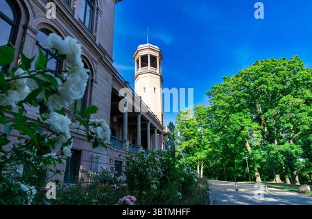 Schloss Biesdorf in Berlin mit blühenden Rosenbüschen im Vordergrund an einem hellen Sommertag mit blauem Himmel und Grün. Stockfoto