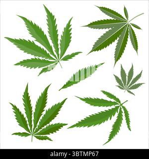 Set von Cannabisblättern isoliert auf weißem Hintergrund Stock Vektor