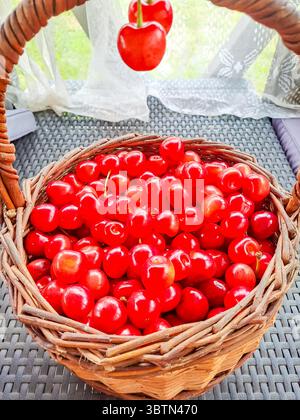 Viele reife rote Kirschen. Hintergrund eines Korbes mit Kirschen auf dem Tisch Stockfoto