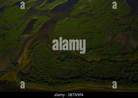 Aus der Vogelperspektive verwinkelte Wasserstraßen, die sich durch grüne Mangrovenwälder schlängeln und ein faszinierendes Licht- und Schattenspiel schaffen, Merida, Yucatan, Mexiko. Stockfoto