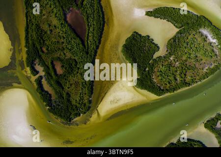 Aus der Vogelperspektive auf sich windende Wasserstraßen, die durch sonnenverwöhnte Sandbänke schlängeln, umgeben von grünen Mangrovenwäldern, die einen Wandteppich aus Texturen und Tönen schaffen, Merida, Yucatan, Mexiko. Stockfoto