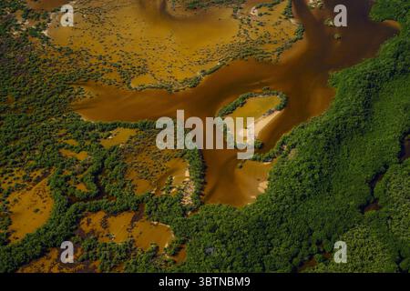 Aus der Vogelperspektive sehen Sie einen lebendigen Wandteppich aus kontrastierenden Erdtönen und grüne Mangrovenwälder, die sich mit Wasserstraßen vermischen und ein atemberaubendes natürliches Mosaik bilden: Merida, Yucatan, Mexiko. Stockfoto